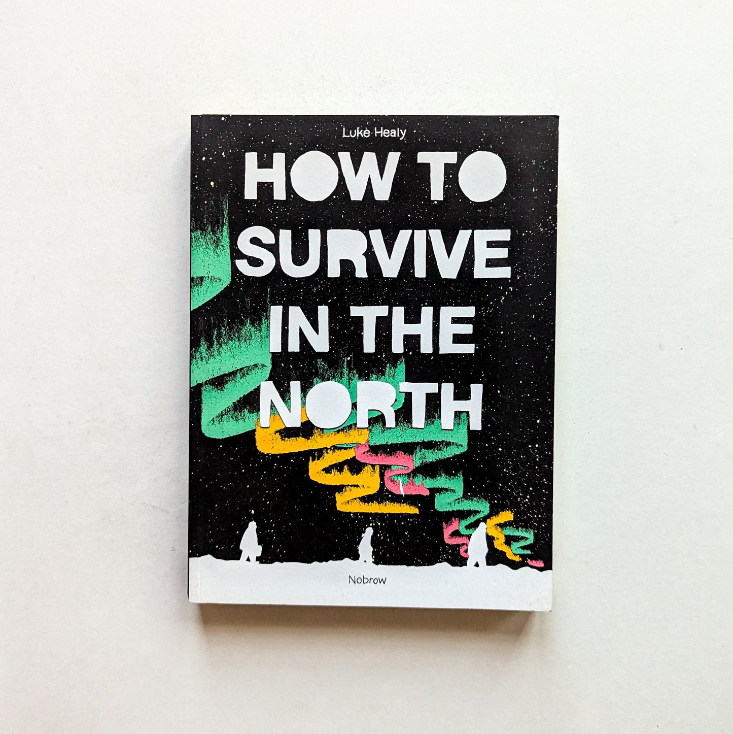 How to Survive in the North by Luke Healy