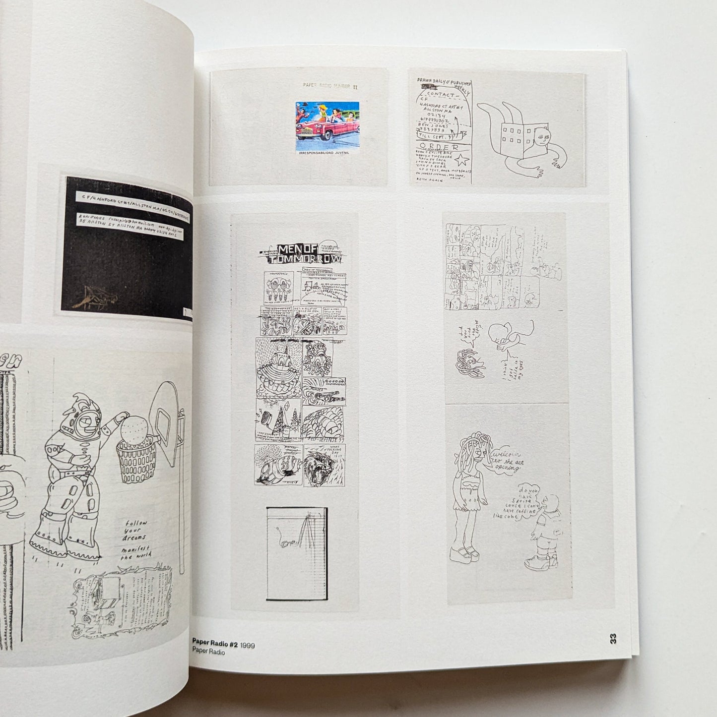 Ppp: The Zines of Paper Rad (Purple)