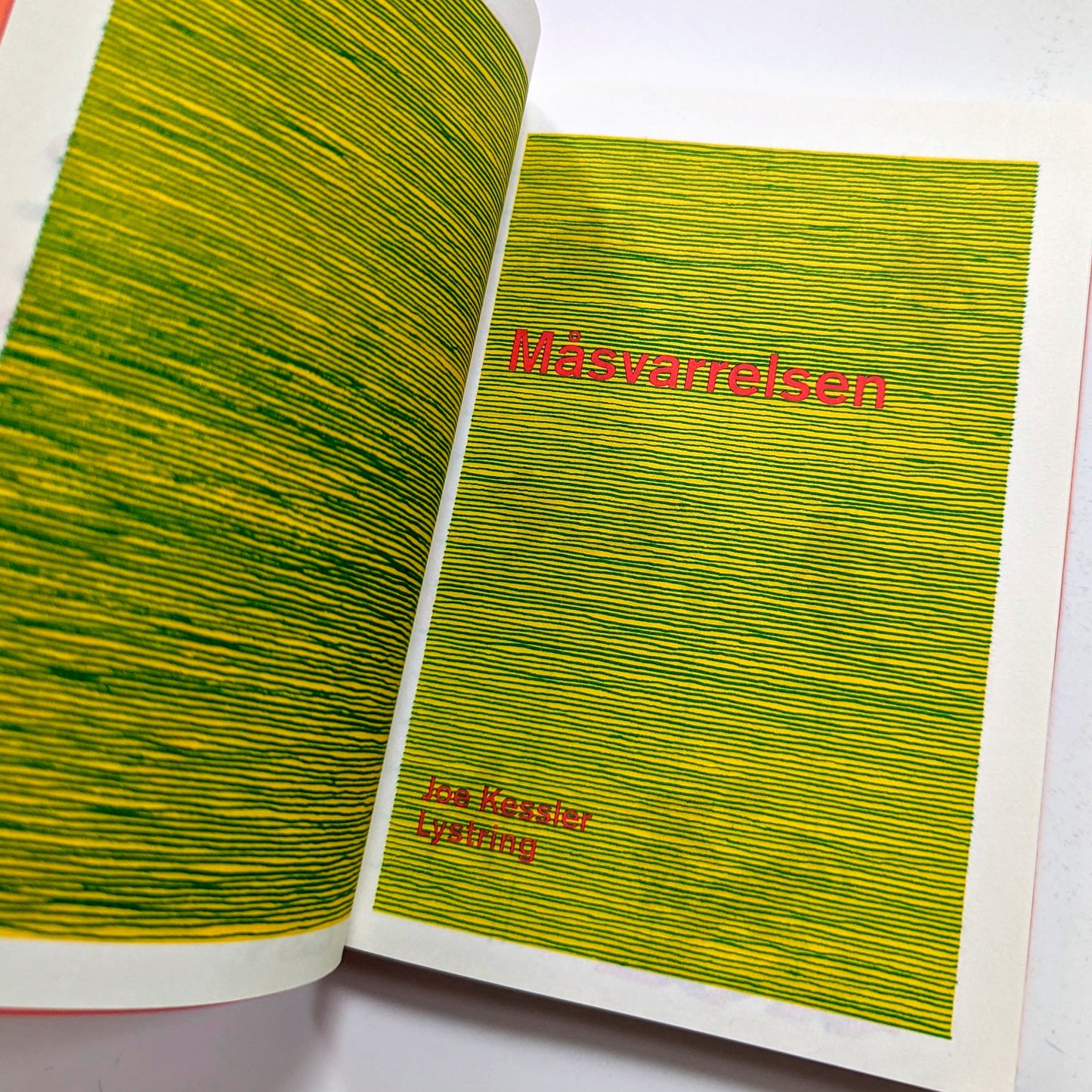 Måsvarrelsen by Joe Kessler (The Gull Yettin, Swedish)