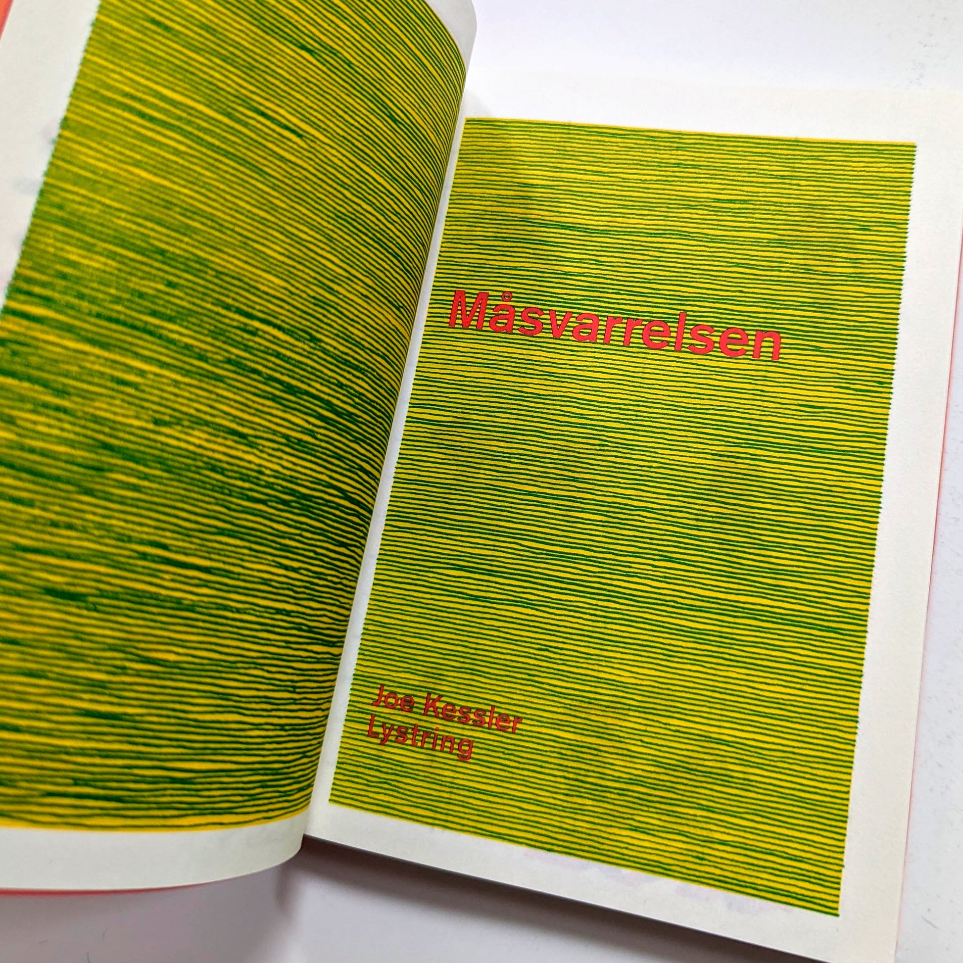 Måsvarrelsen by Joe Kessler (The Gull Yettin, Swedish)
